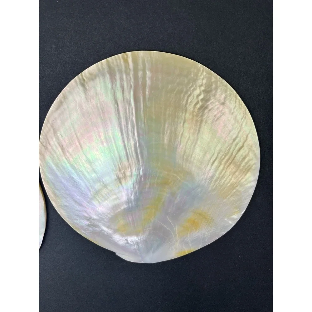 2 x Genuine Mother Of Pearl Sea Shell Caviar Dish Appetizer Plate 5.5